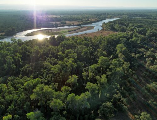 Sacramento Valley Salmon Recovery Program