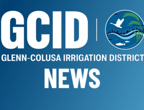 Keswick Dam Releases Decreasing
